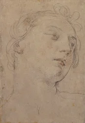The Head of Europa