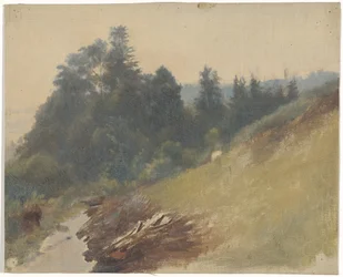 Mountain Slope with Pines