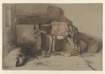 Donkey in Stable
