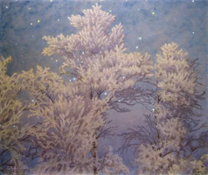 Hoar Frost and Stars