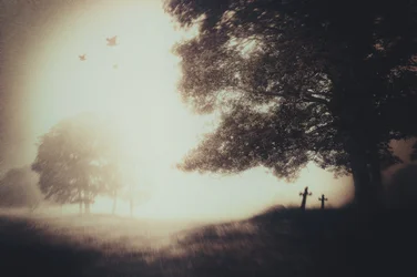 Misty Graveyard Crosses