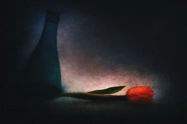 Moody Tulip and Bottle