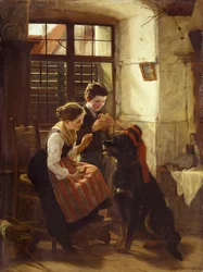 The Patient Pet