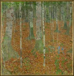 Beech Woods