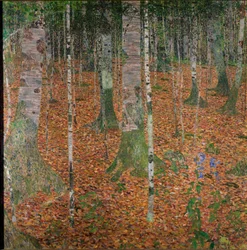 Birch Forest
