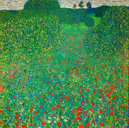 Poppy Field