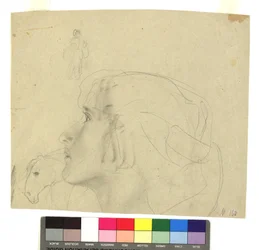 Female Head in Profile to the Left, Horse Head in Profile, Figure Study