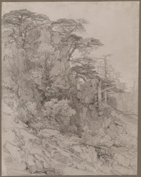 Trees of a Rocky Hillside