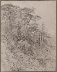 Trees of a Rocky Hillside