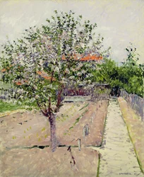 Apple Tree in Blossom, c.1885