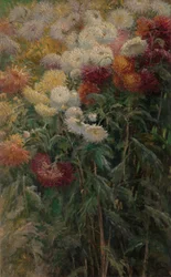 Chrysanthemums in the Garden at Petit-Gennevilliers