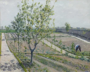 The Vegetable Garden, Petit Gennevilliers. 1881-82