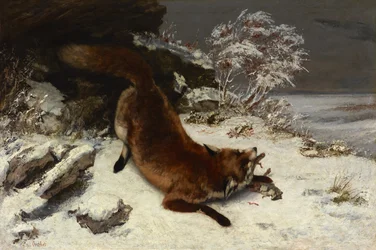Fox in the Snow
