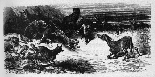 Animals sick of the Plague. Fables by Jean de La Fontaine. Illustration by Gustave Dore.