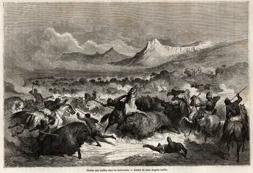 Buffalo Hunting Among the Delawares