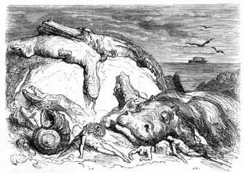 Engraving by Gustave Dore around 1850: Evocation of an Apocalyptic Deluge Combining Biblical Tradition (One Can See in the Distance the Ark of Noah on the Sea) and the Beginning of Scientific Knowledge (Various Monstrous Animals Failed on the Mountain)
