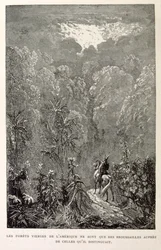 Illustration of American forest (from La legende de Croque-Mitaine)