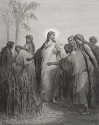 Jesus and His Disciples in the Corn Field, Illustration from Dore