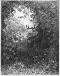 The Deer and the Vine - from "Fables" by Jean de La Fontaine