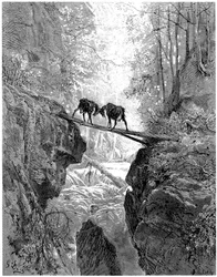Les deux chèvres: fable by Jean de la Fontaine illustrated by Gustave Dore - forest, stream