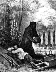 The Bear and the Gardener