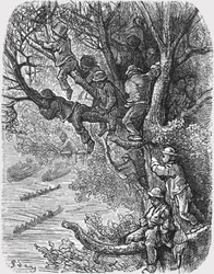 Perched in the Trees