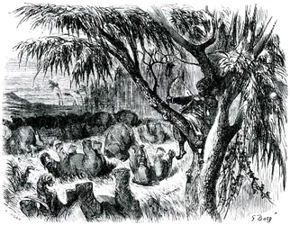 Sindbad the sailor (Sinbad) - tale of the thousand and one (1001) nights - illustration by Gustave Dore - edition Maxwell 1865 - Seventh voyage: Sindbad, perch in a tree, pulls with his bow on elephants