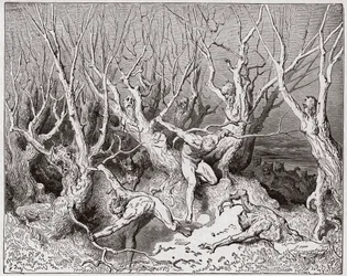 The Divine Comedy, Inferno, Canto 13: The suicides flee the forest - Illustration by Gustave Dore (1832-1883)