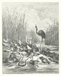 The Fables of La Fontaine: The Frogs who asked for a King