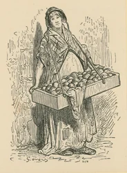The Fruit Seller