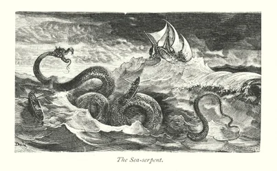 The Sea Serpent