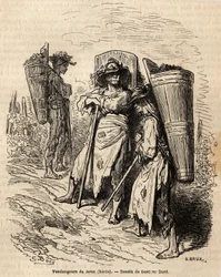 The pickers of Xeres. Drawing by Gustave Dore, to illustrate his trip to Spain in 1862, with Ch. Davillier. Engraving in Le tour du monde, edited by Edouard Charton