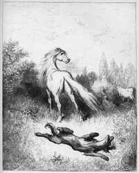 The Horse and the Wolf - from "Fables" by Jean de La Fontaine