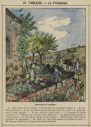 Spring