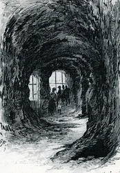 View of the aquarium of Trocadero, Paris. Drawing by Gustave Fraipont from Saint-Juirs