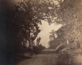 Fontainebleau, sandy path ascending, ca. 1856