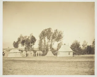 Untitled [Officers]