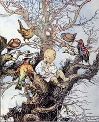 Illustration for 