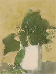 Green leaves in a white jug