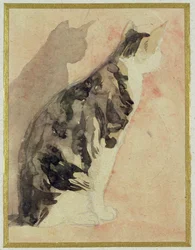 Study of a Cat