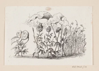 Illustration for 