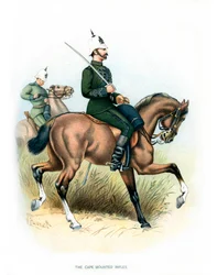 The Cape Mounted Rifles