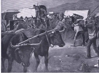 A hurried inspan (illustration from After Pretoria: The Guerilla War)