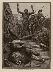 Lion Hunting in Africa