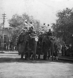 A Punjabi Princess Riding an Elephant in a Procession, Delhi, India, 1900s