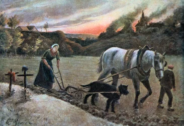 The Woman in the Fields