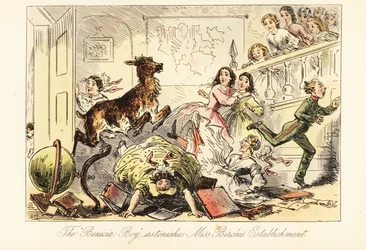 A young buck crashing into a lesson in a girls