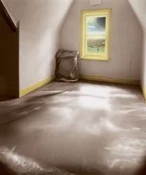 Through the Light