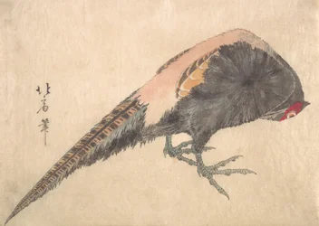 Bird, 1830s