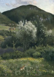 Bird Cherry